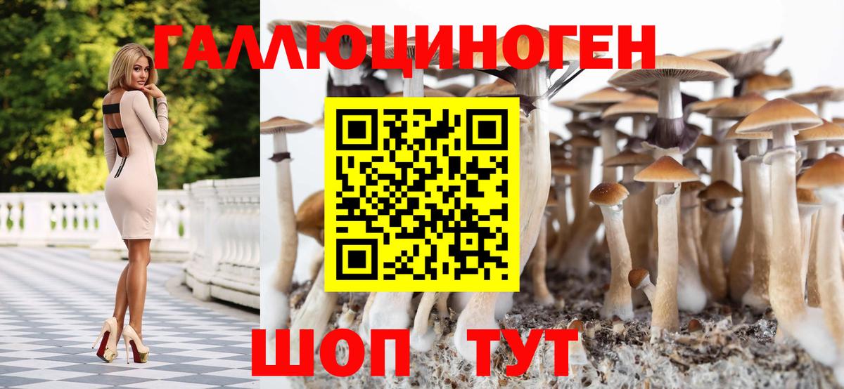Галлюциногенные грибы прущие грибы Свободный
