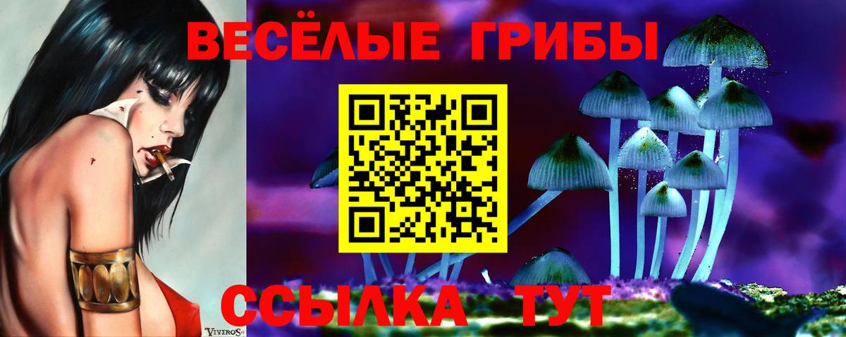Псилоцибиновые грибы Magic Shrooms  магазин продажи   Свободный  Вход с VPN  Галлюциногенные грибы мухоморы 